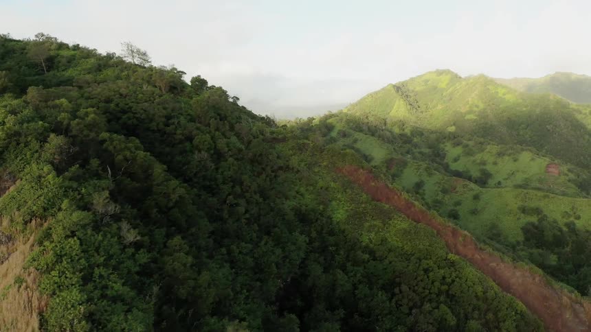 Trees and brush grow on rocky hills and peaks