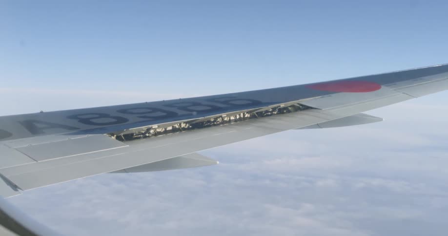 A jet flies in the sky