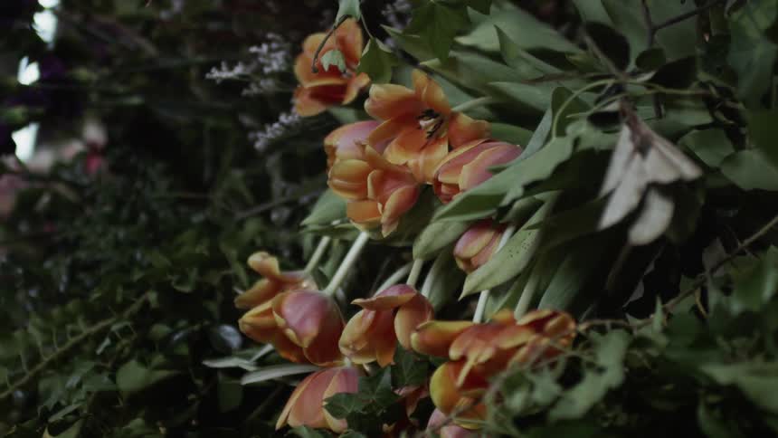 Orange flowers and green leaves sit in a garden