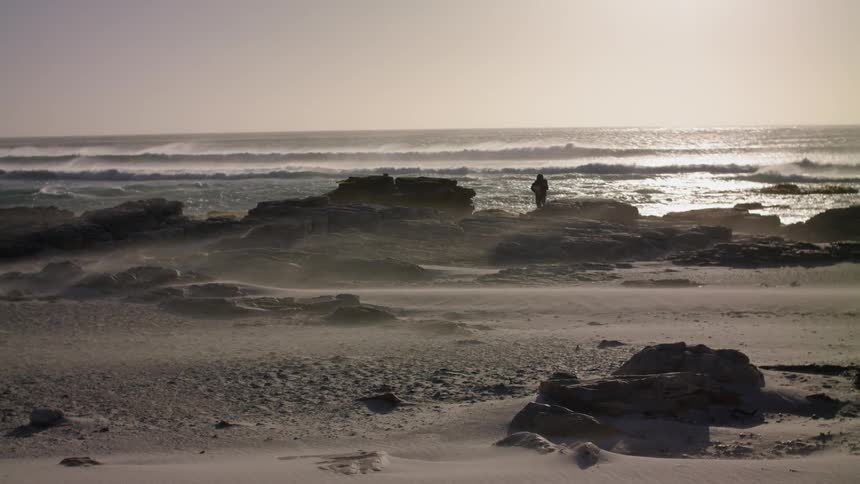 A person walks on the rocky shore on a windy day