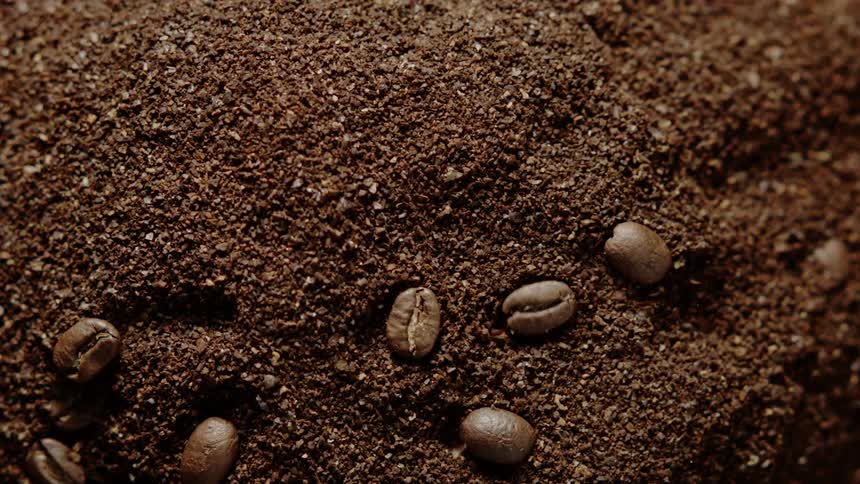 Several coffee beans fall into a pile of coffee grounds