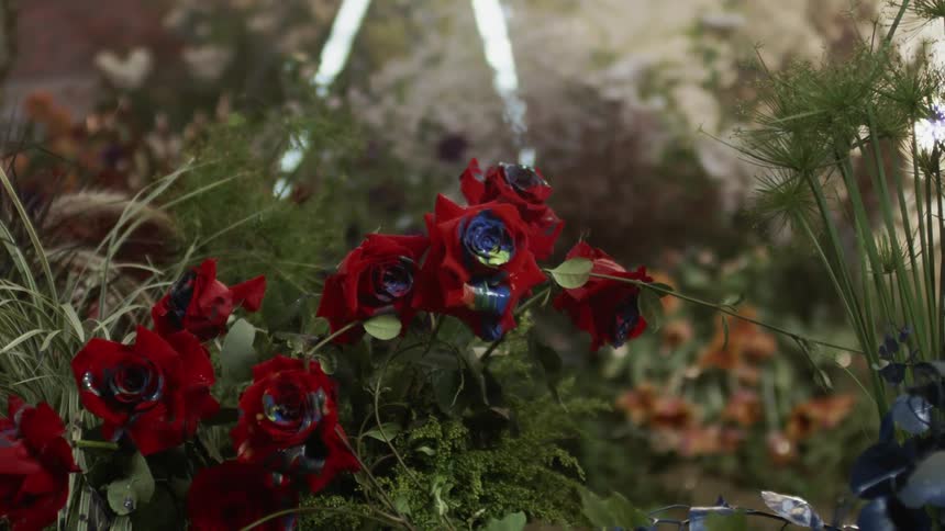 Red flowers sits in the green foliage