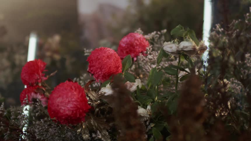Flowering plants are lit by fluorescent bulbs