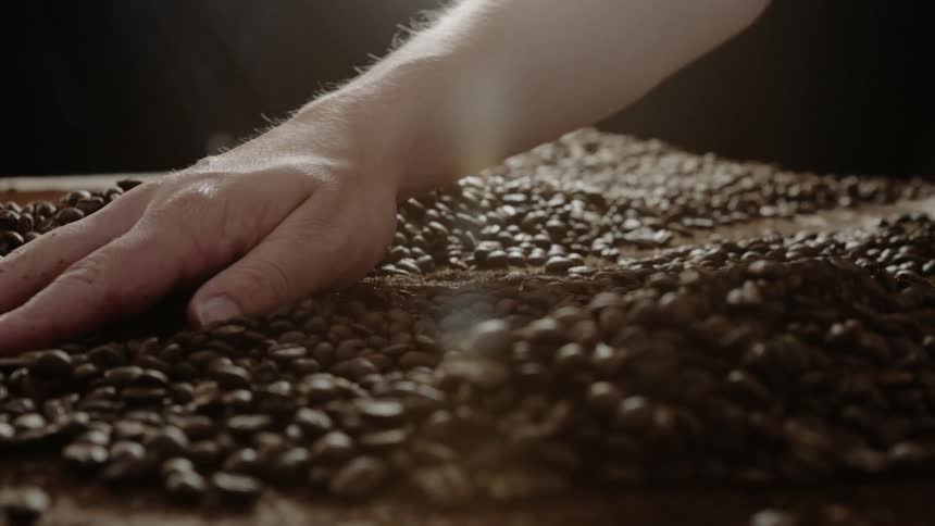 Hand rubs over a large pile of coffee beans