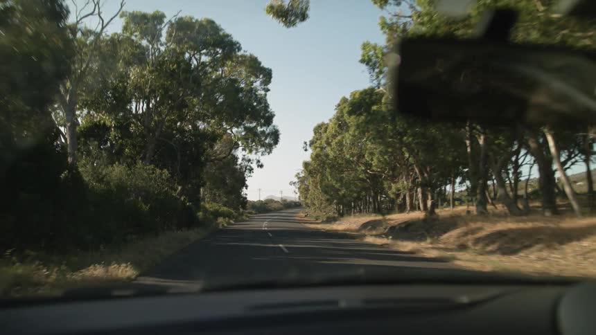 Vehicle drives down a tree lined country roa