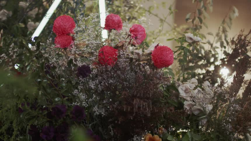 Bouquet of several red flowers