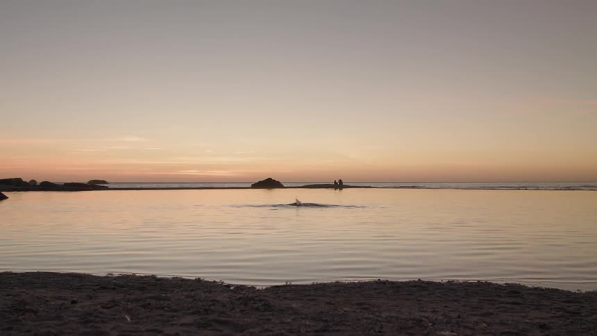 A person is swimming in the calm water
