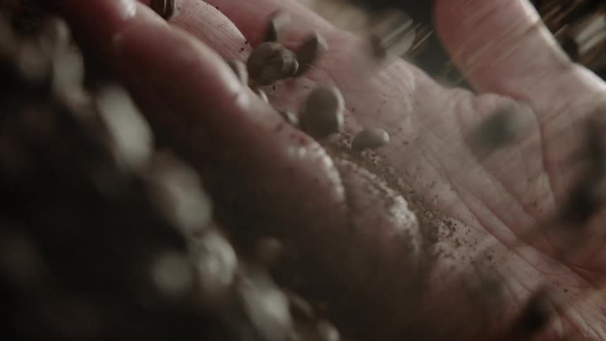 A person's hand is catching falling coffee beans as they drop into a pile in daylight