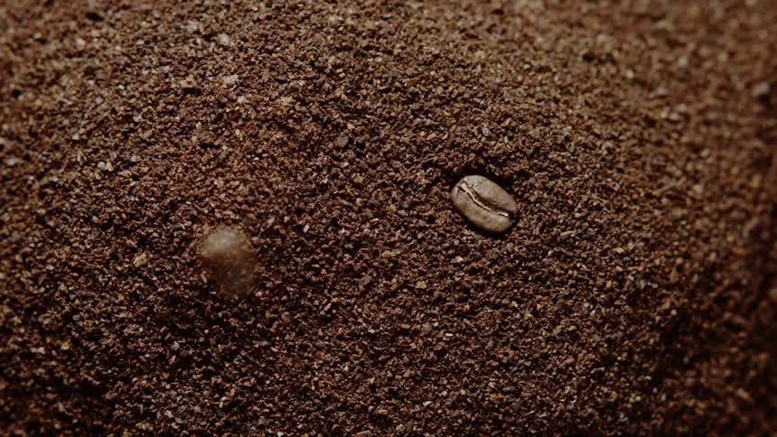 Coffee beans fall into a pile of coffee grounds