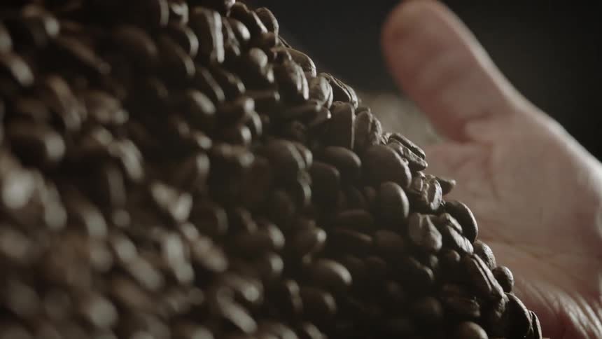 Man runs his hand through coffee beans