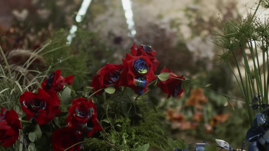 Red flowers stick out of the bushes