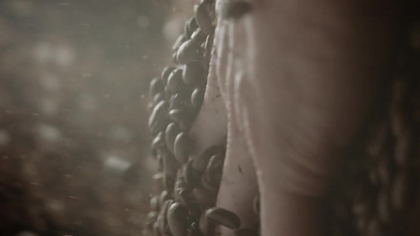 Coffee beans are falling into a pile as a hand rakes through them