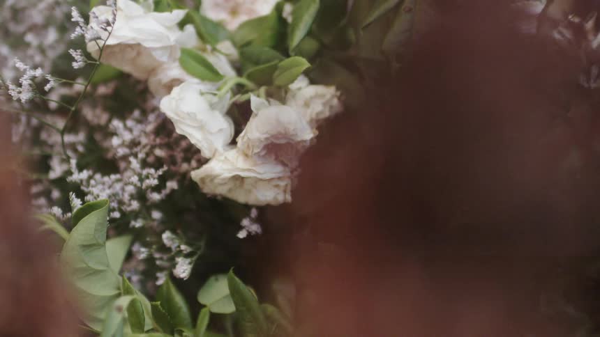 The white flowers are hanging from the branch