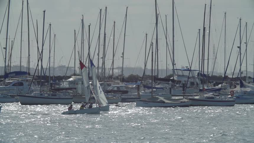A sailboat floats in a marina
