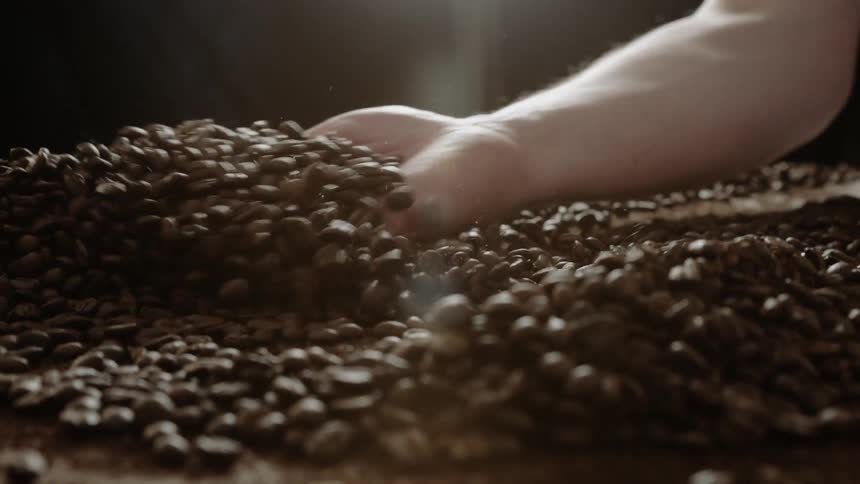 Hand pushes through a pile of coffee beans