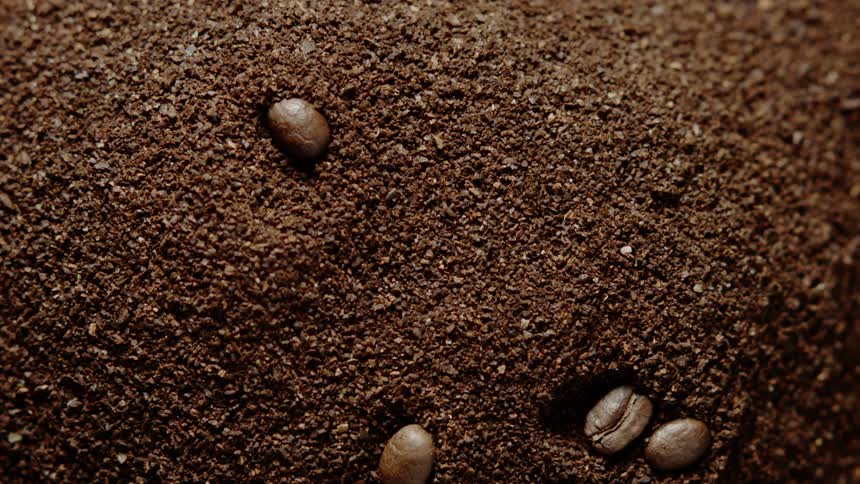 Coffee beans falls into coffee grounds