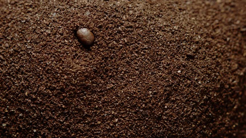 Coffee beans fall into a large pile of coffee grounds