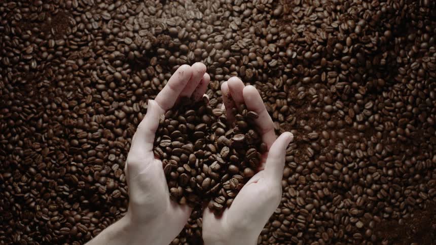 A person holds coffee beans and drops them