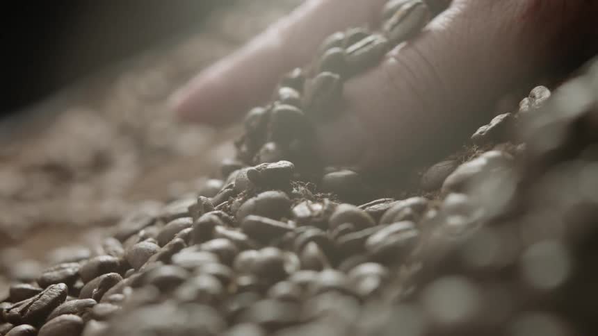 Coffee beans are pushed around by a hand