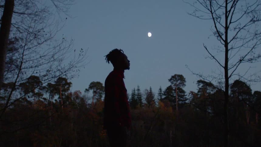 A man is standing outside at night in a forest beneath the moon