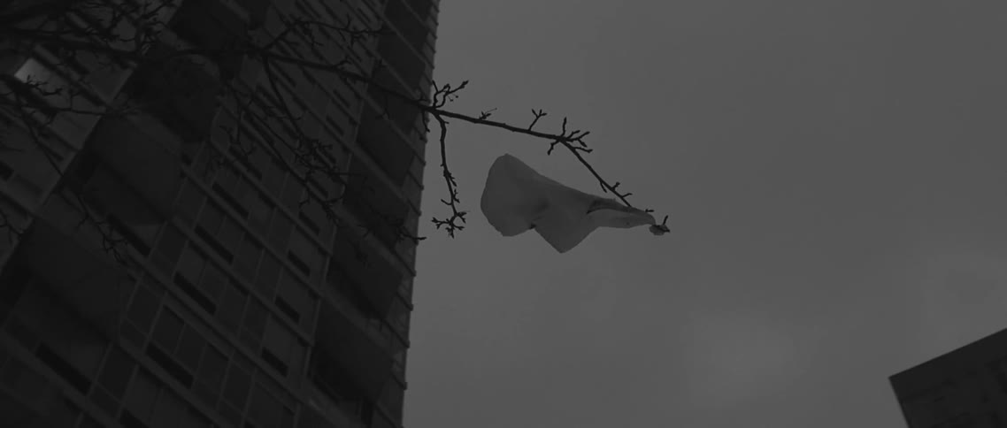 A plastic bag blowing in the wind