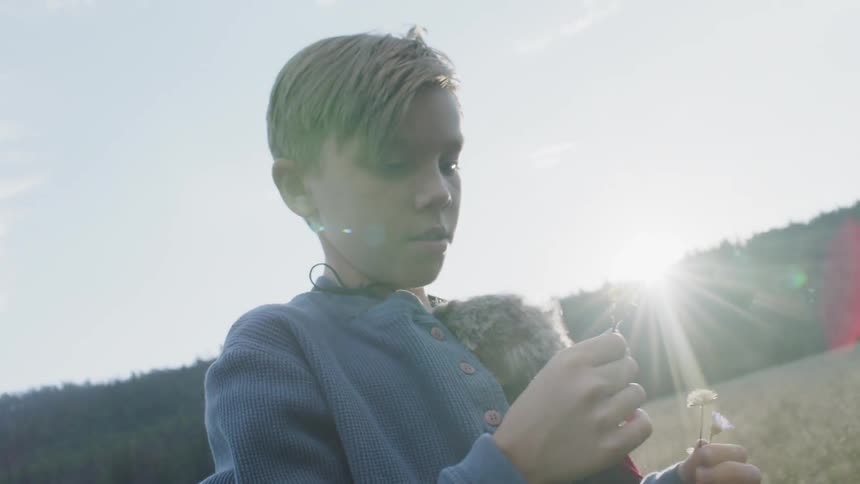 A boy is picking flower blossoms in a natural setting in daylight