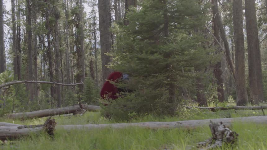 A boy wearing a cape jumps over a log as he runs