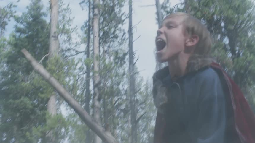 A boy is yelling as he brandishes a stick outside in a natural setting in daylight