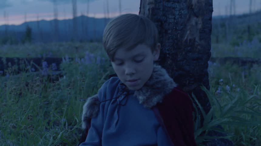 A child is leaning against the tree in the grass