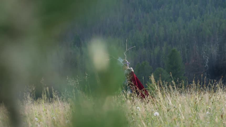 Boy in a costume walks in a rural field