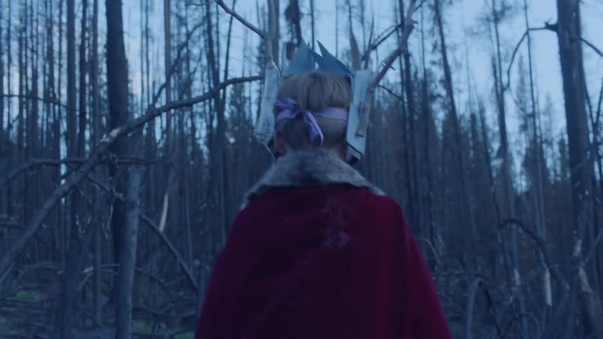A boy wearing a mask and cloak is exploring a forest at dusk