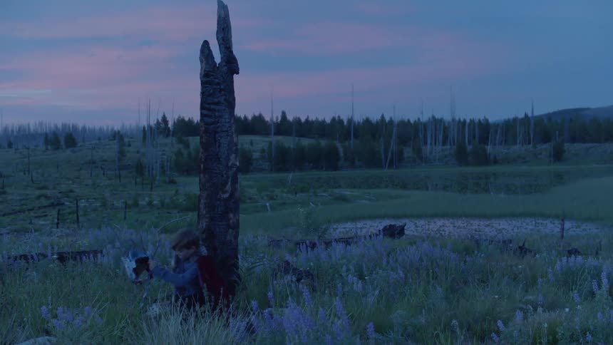 Child sits down by a dead tree trunk at sunset