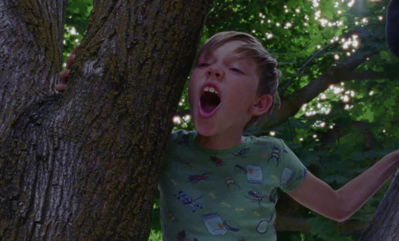 Boy is sitting up in tree shaking his head and yelling no