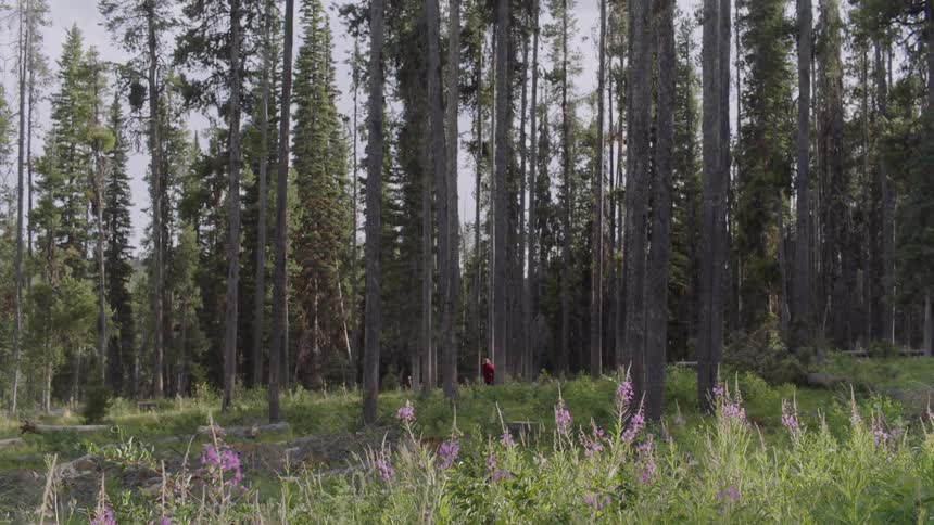 Boy in woods wearing cape and mask