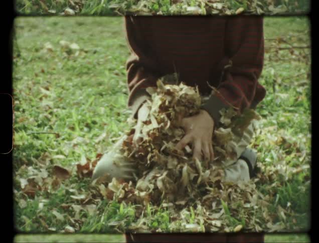 A boy is playing with a pile of leaves in a yard with a dog in daylight