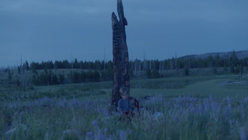 Child sits in a grassy field leaning against a tree trunk in the evening