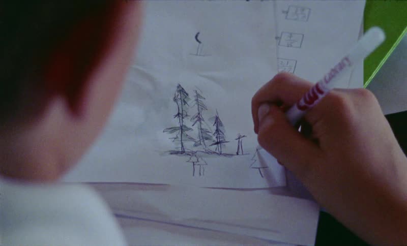 Child draws trees on a piece of paper