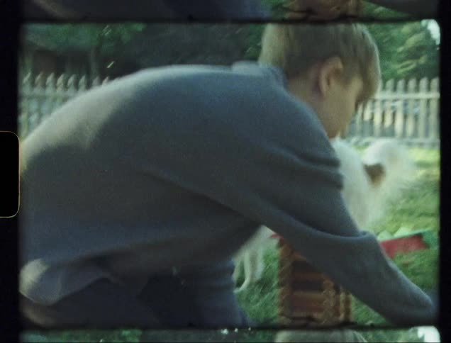 Young boy and a dog play in the yard