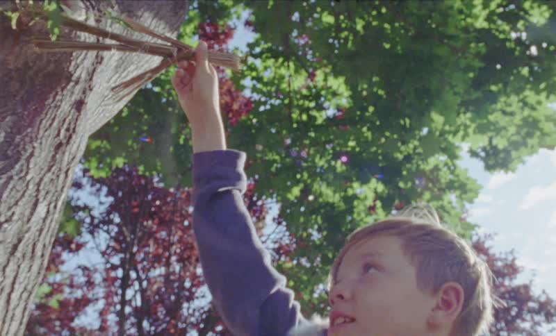 Boy plays with sticks in a yard