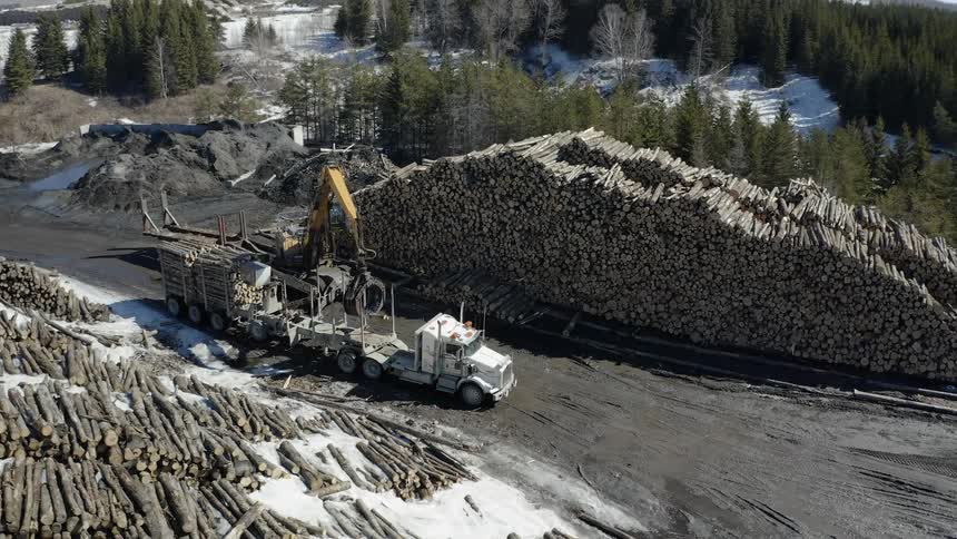A tractor with a claw attachment is lifting logs off a truck in daylight