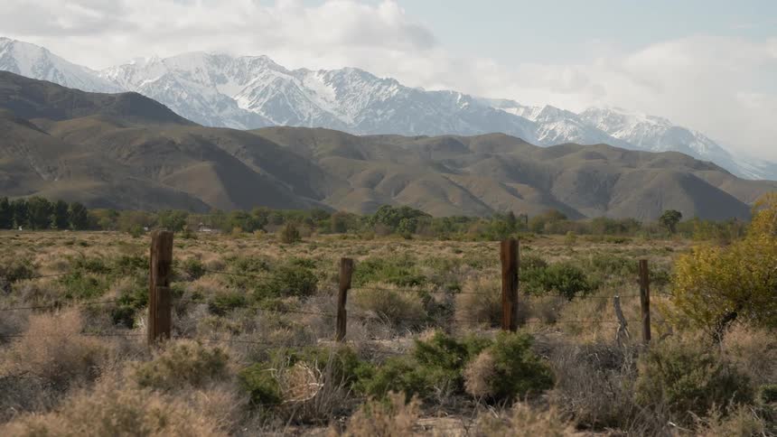 Crooked fence runs through tall grasses with mountains in the background