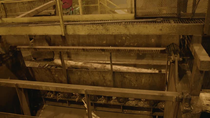 Logs riding down a conveyor belt in a factory