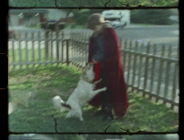 A child wearing a cape plays with a dog
