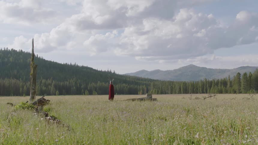 Boy wearing a red cape walks around in a field