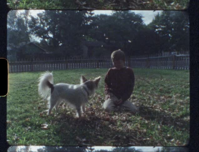 A boy in a yard throws leaves up in the air and at his dog