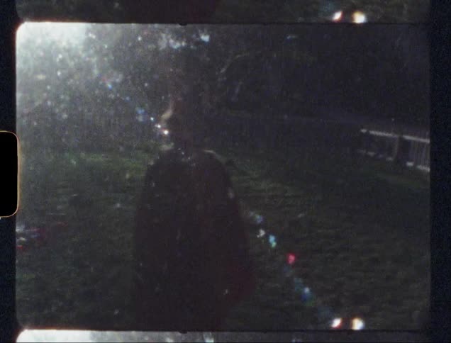 Boy in a costume plays fetch with a dog