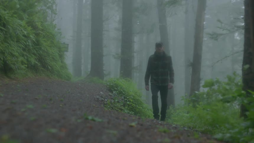Man walks through the forest on a foggy day