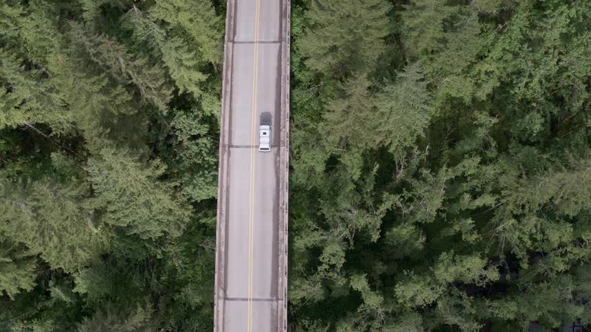 White vehicle driving on a tree lined bridge