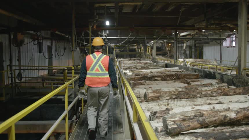 A man walks past bins of timber logs in a mill