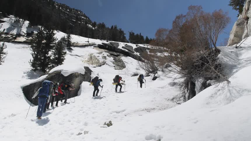 Many people hike up a snow covered mountain using ski poles